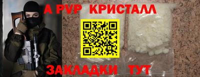 дживик Кингисепп