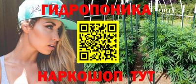 мдпв Кимры